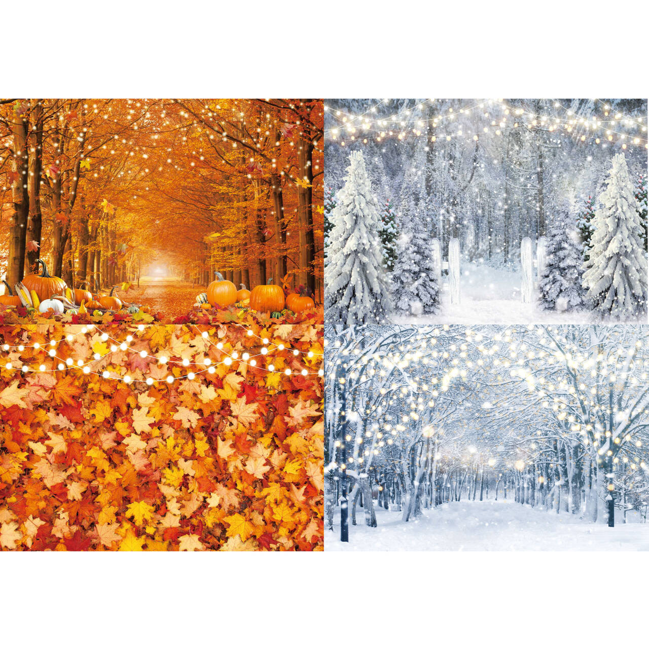 Autumn & Winter