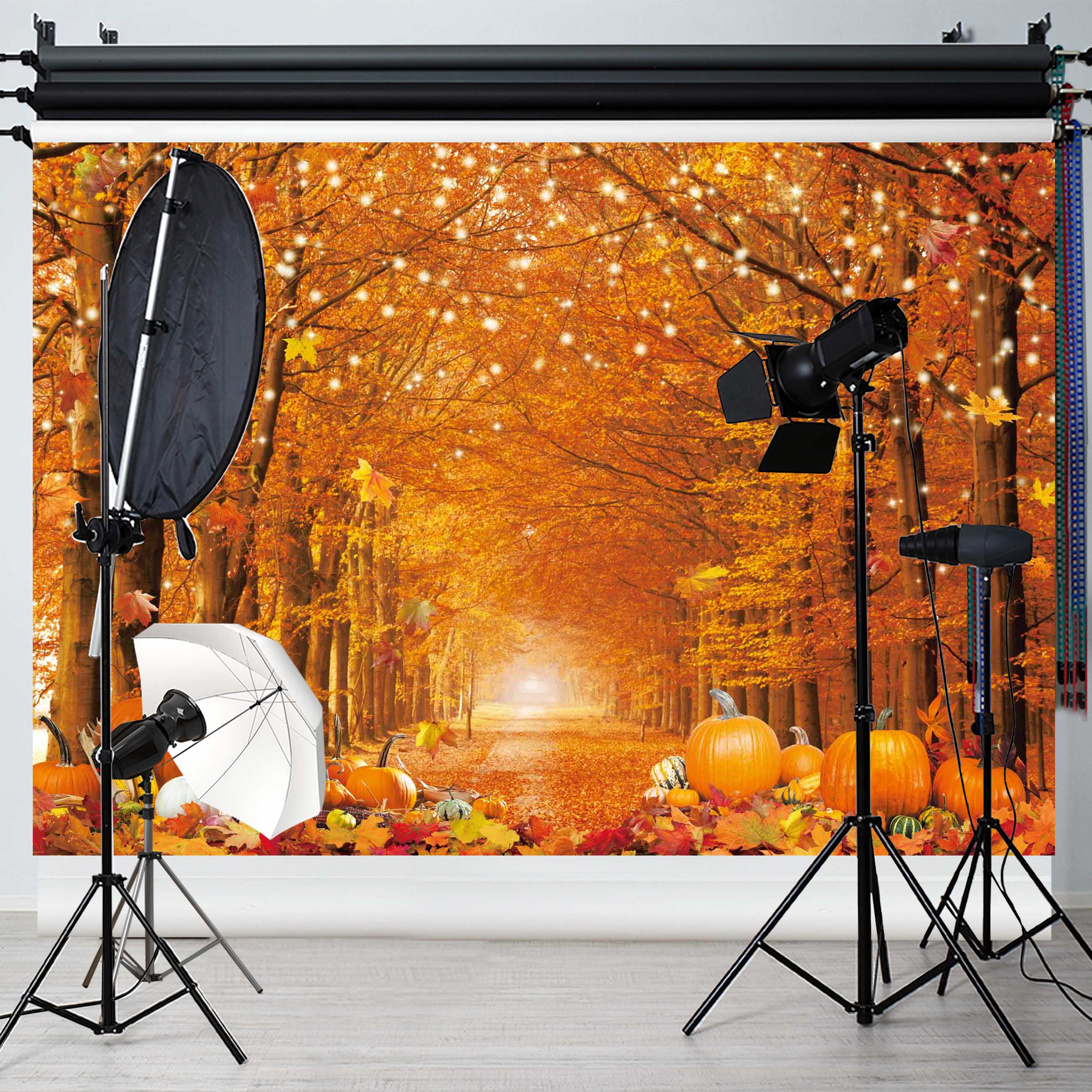 Fall Autumn Photo Backdrop for Photography Autumn Forest Scenery Background