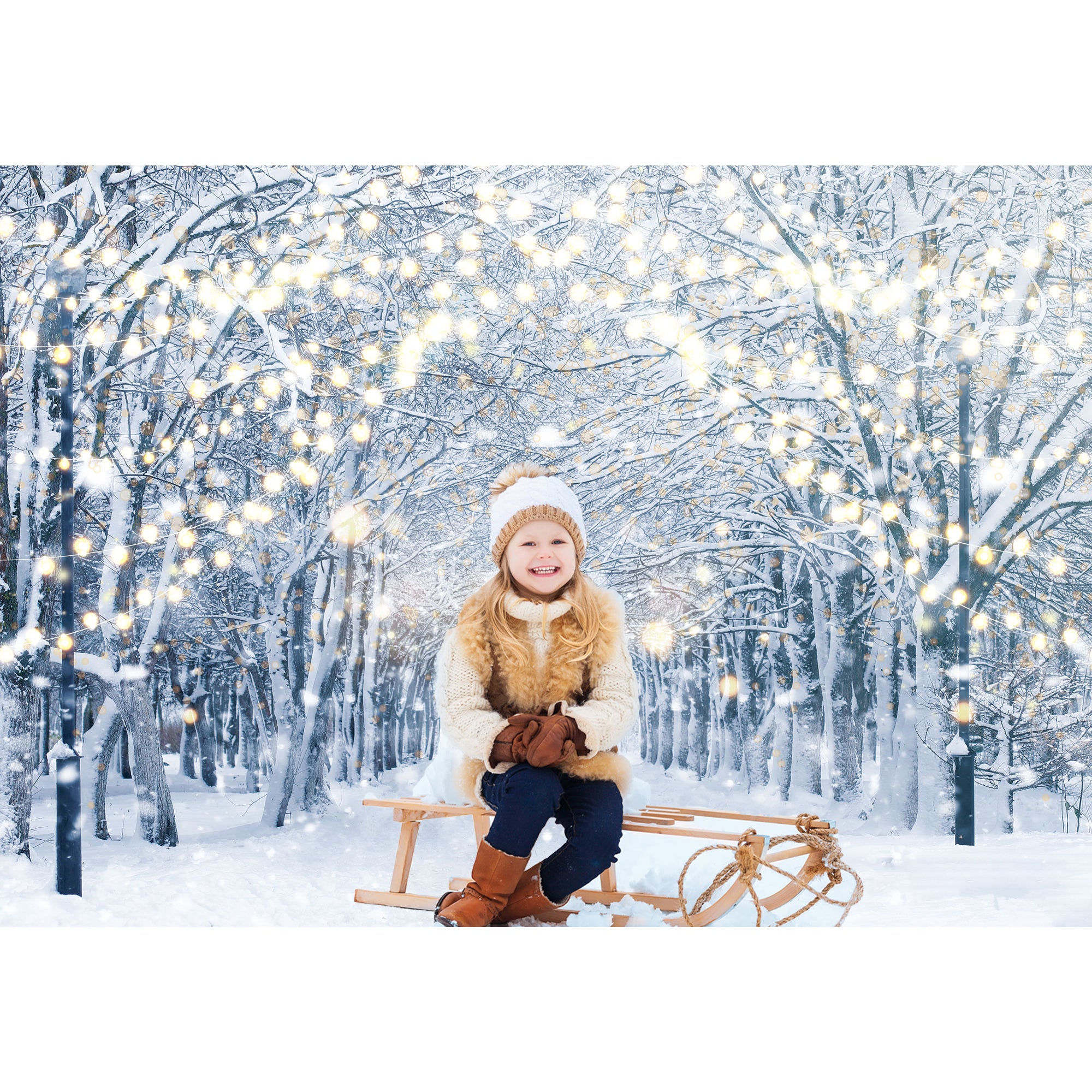 Winter Snowy Scene Photography Backdrop Winter Wonderland Landscape Background