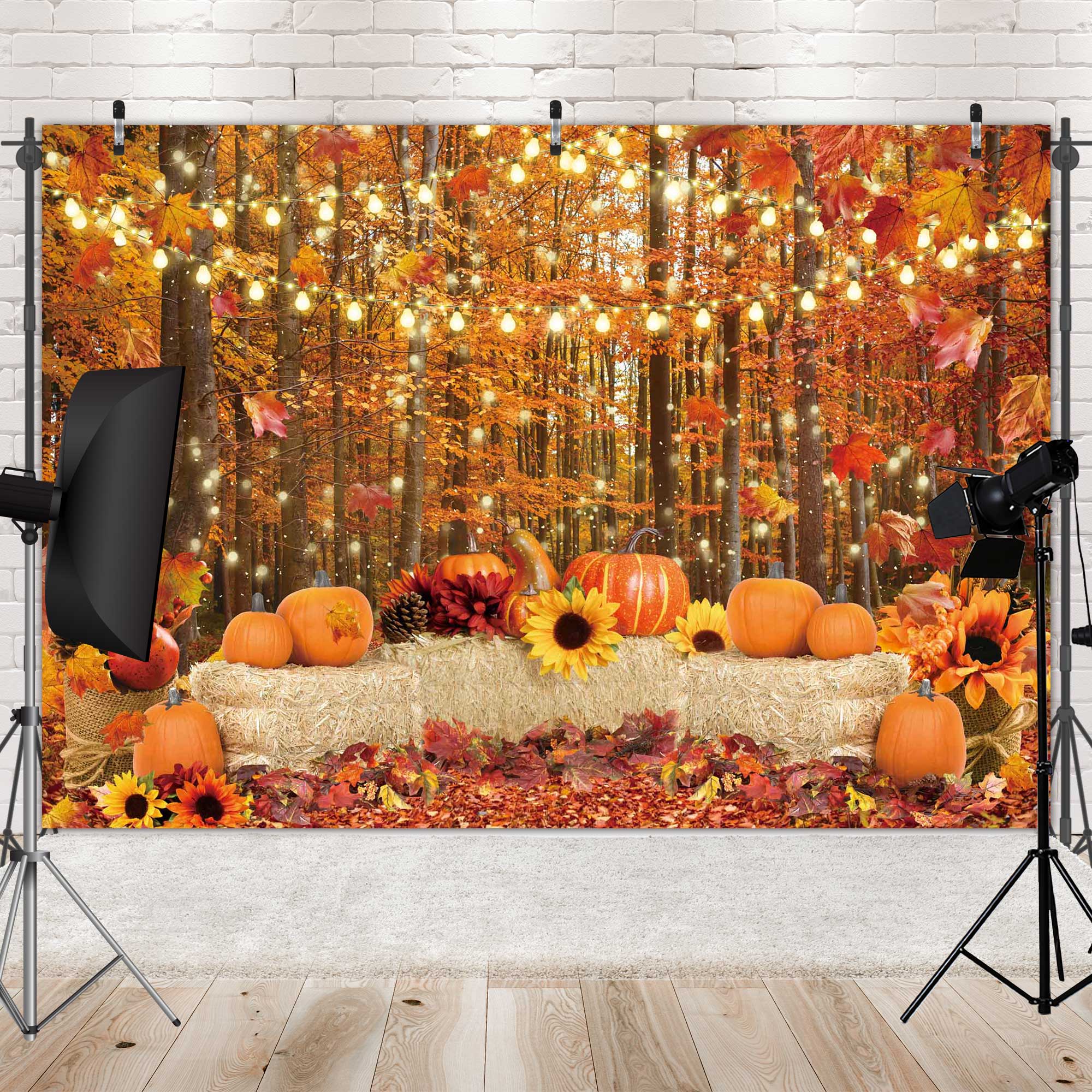 Fall Backdrop Autumn Forest Leaves Pumpkins Photography Background