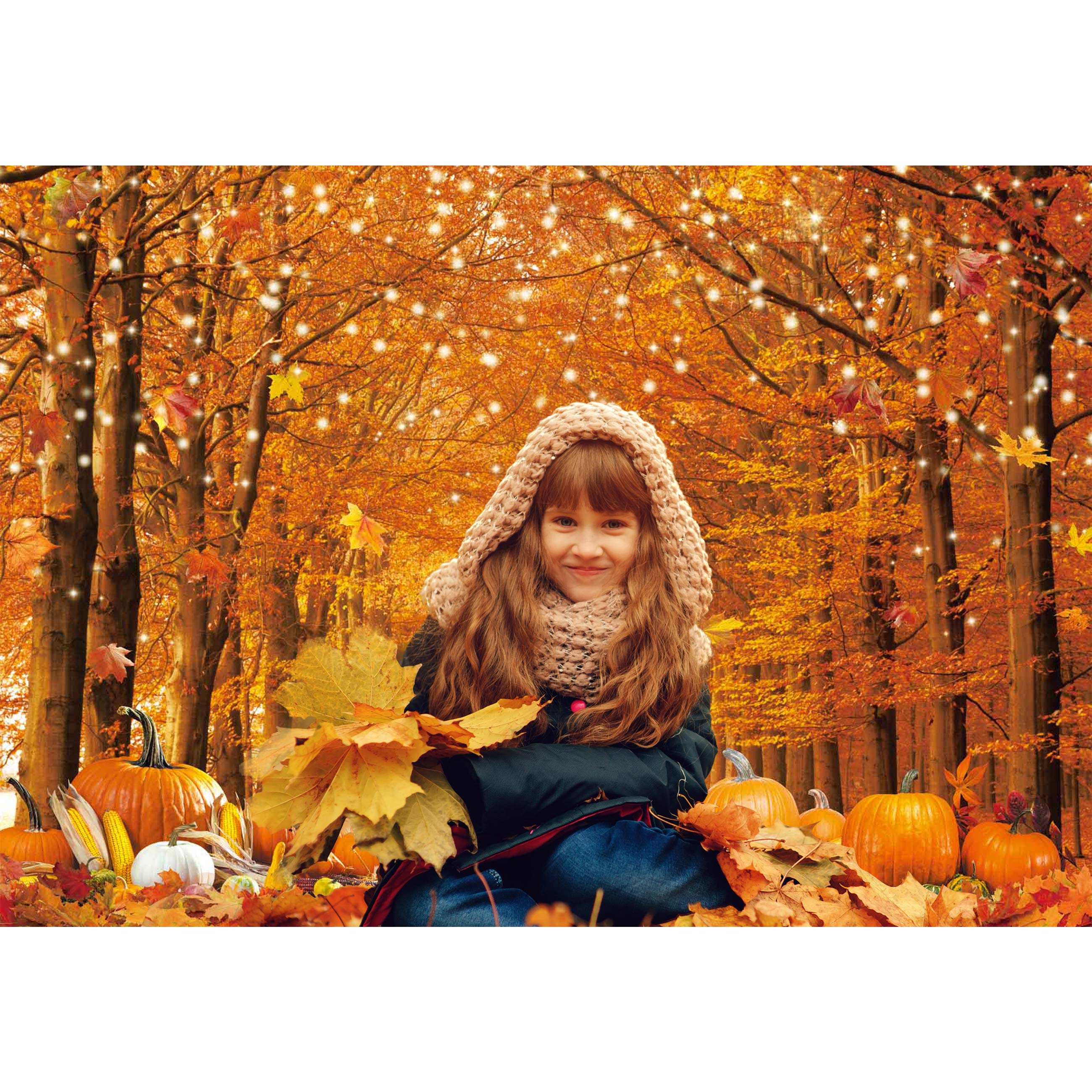 Fall Autumn Photo Backdrop for Photography Autumn Forest Scenery Background