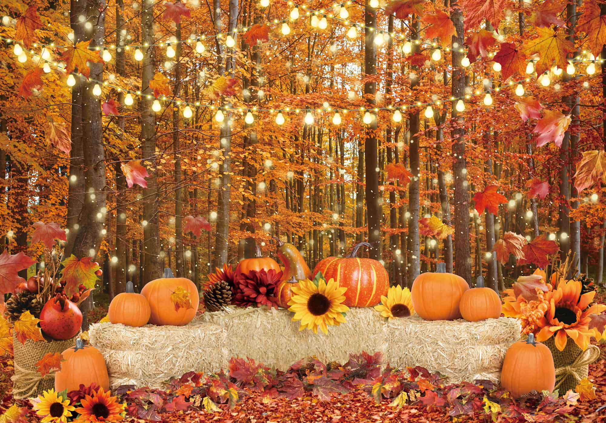 Fall Backdrop Autumn Forest Leaves Pumpkins Photography Background