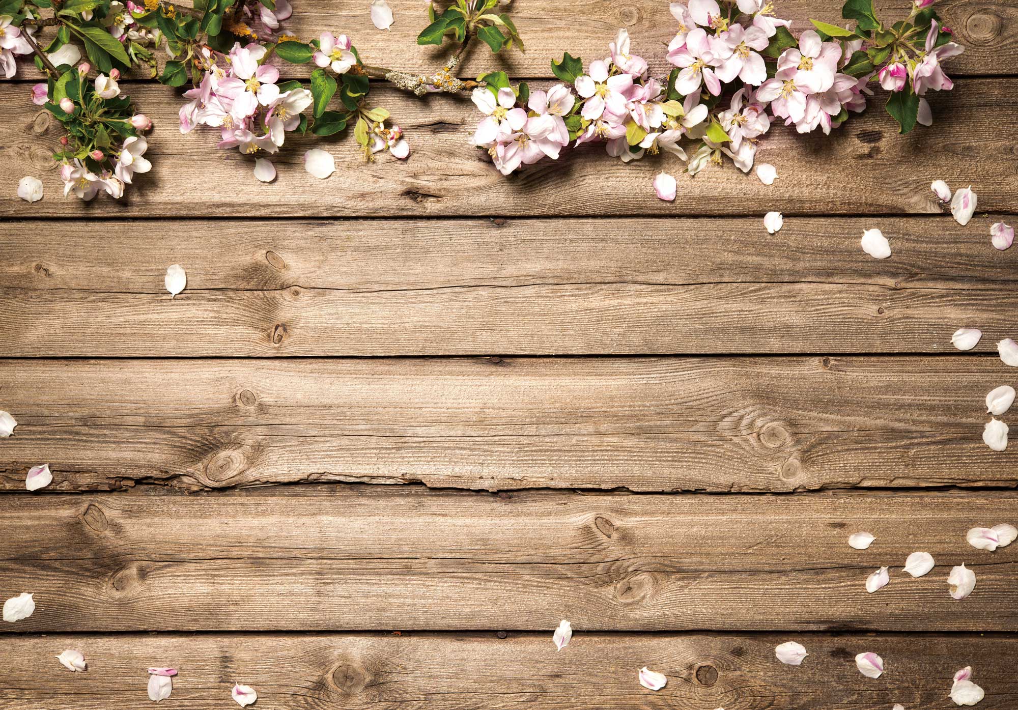 Wooden Floor Photography Backdrop for Portrait Photo Studio Background